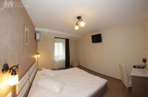 Pension Cleopatra Тиргу-Муреш Екстер'єр фото